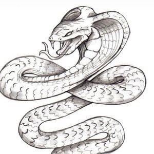 Meet your Posher, Isaiah